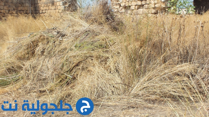 حملة تنظيف الخان في جلجولية 