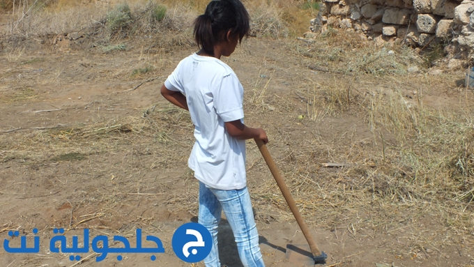 حملة تنظيف الخان في جلجولية 