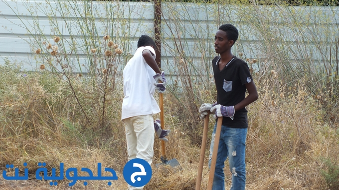 حملة تنظيف الخان في جلجولية 