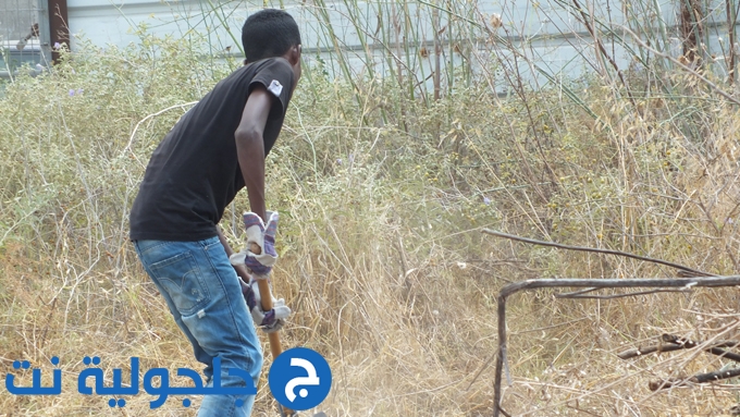 حملة تنظيف الخان في جلجولية 