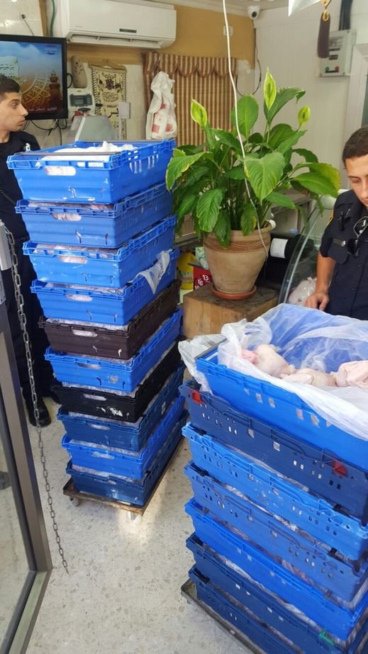 توقيف شاب بعد ضبط ذبائح لم تخضع للرقابة البيطرية 