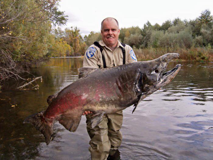 اسماك غريبة لم تشاهدها من قبل!