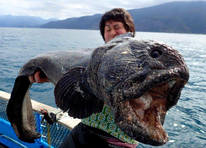 اسماك غريبة لم تشاهدها من قبل!