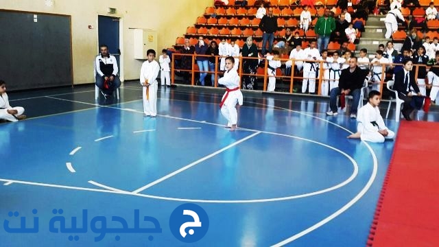 بطولة السيكوكاي شيتوريو 2015 للكراتيه في الطيرة  