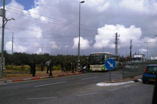 استشهاد مواطنين واصابة مستوطنة بعملية طعن شمال الضفة