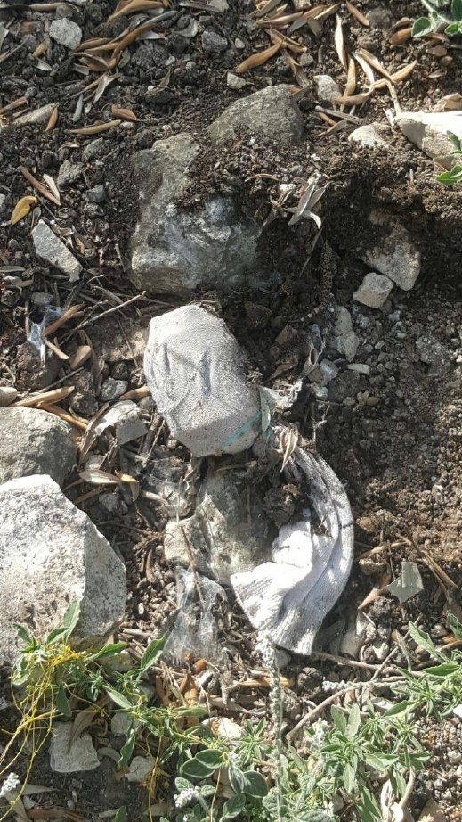 الكشف عن وكر مخدرات وضبط عبوة ناسفة واعتقال مشتبهين 
