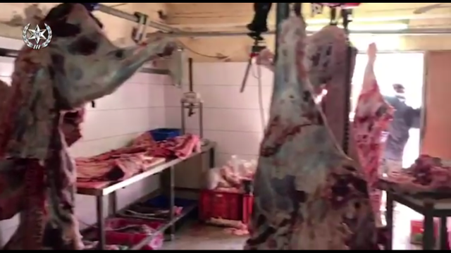 اعتقال مشتبهين بعد ضبط 6 طن لحوم ذبحت بلا رقابة