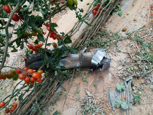 اطلاق قذيفة من سيناء وسقوطها في منطقة أشكول